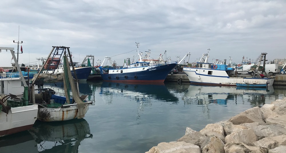 Nga 1 korriku peshkatareve u rimbursohet nafta, ndryshime dhe ne TVSH